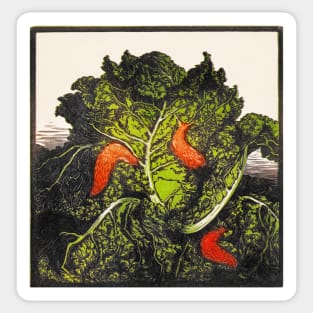 Slugs on Cabbage - Julie de Graag Sticker